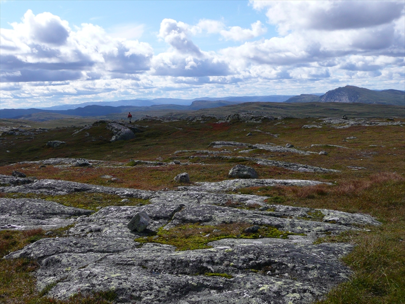 Topptur Tollefsrudfjellet (2)